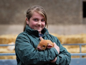 Amy Hurley from Vickertown Co Laois with a Kune Kune pigles, iri